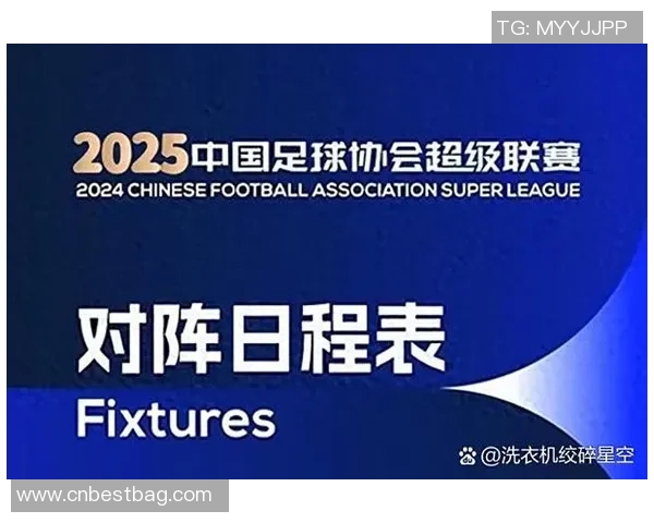 足球场17号球星是谁 他在场上的表现与影响力解析